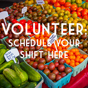 volunteer at the Collingswood Farmers Market